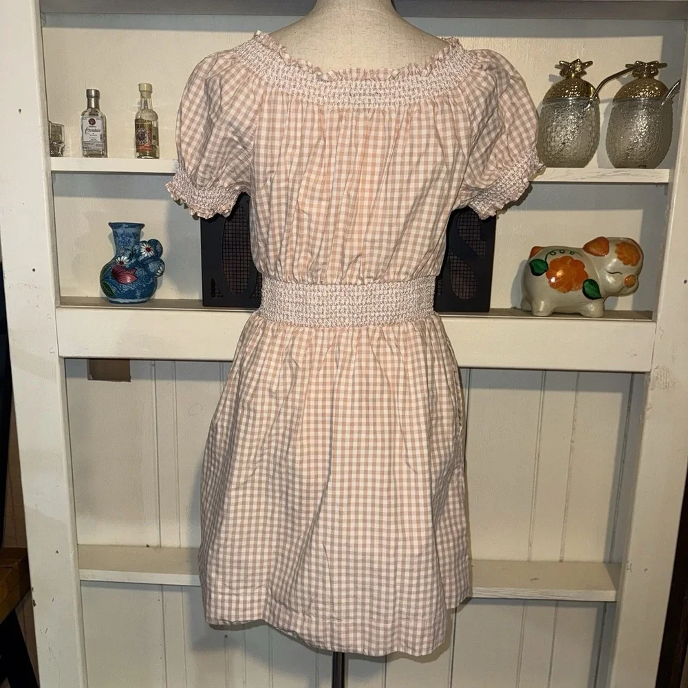 J. Crew Pink Gingham Plaid Fit Flare Poplin Dress Women's Small Summer